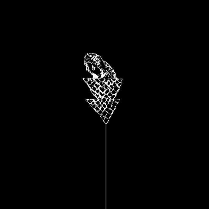 WETWARE - FLAIL (CLEAR VINYL)