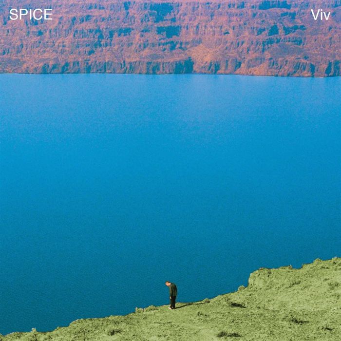 SPICE - VIV