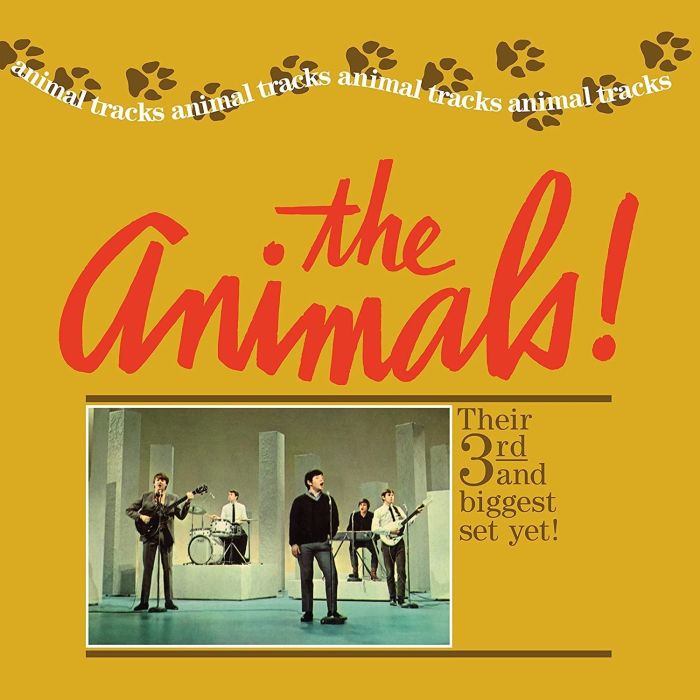 ANIMALS - ANIMAL TRACKS