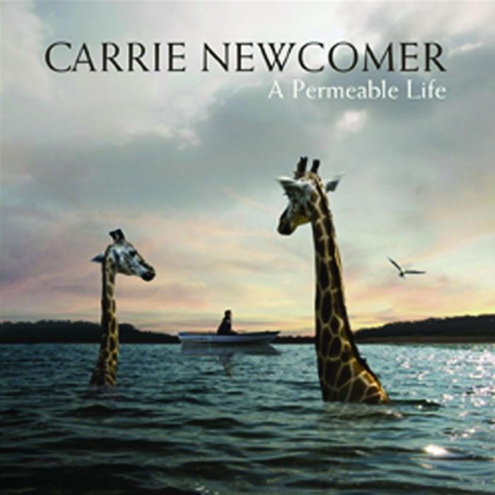 CARRIE NEWCOMER - PERMEABLE LIFE