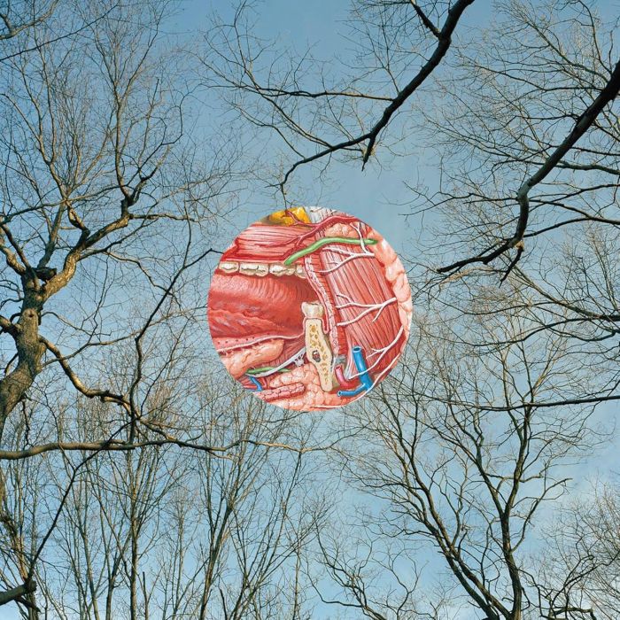 THEY MIGHT BE GIANTS - GLEAN