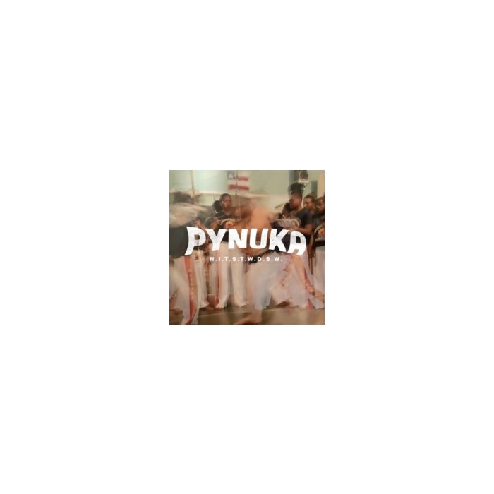 PYNUKA - N.I.T.S.T.W.D.S.W.