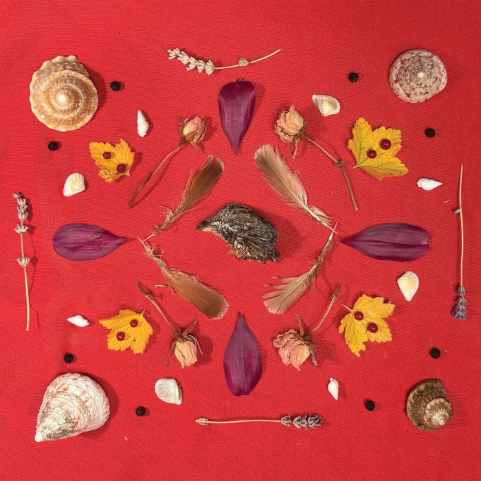 SECRET FAMILY - GROUSE HEAD TALISMAN