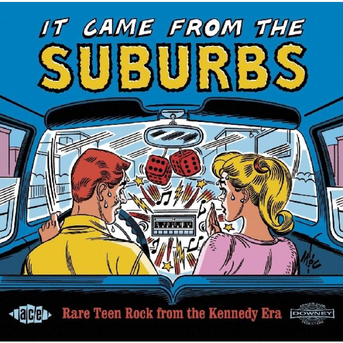 VARIOUS ARTISTS - IT CAME FROM THE SUBURBS: RARE TEEN ROCK / VARIOUS
