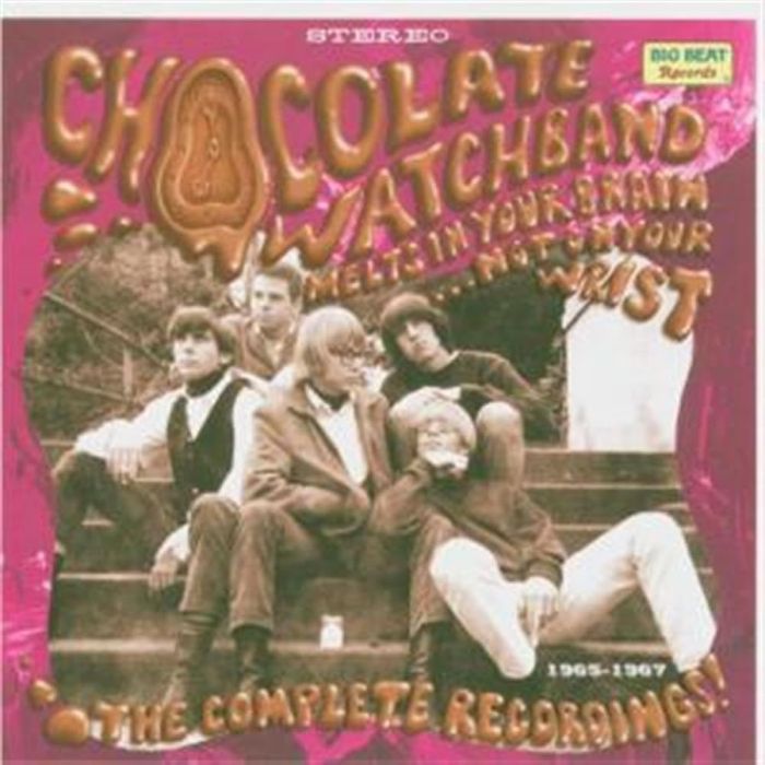 CHOCOLATE WATCHBAND - MELTS IN YOUR BRAIN NOT ON YOUR WRIST