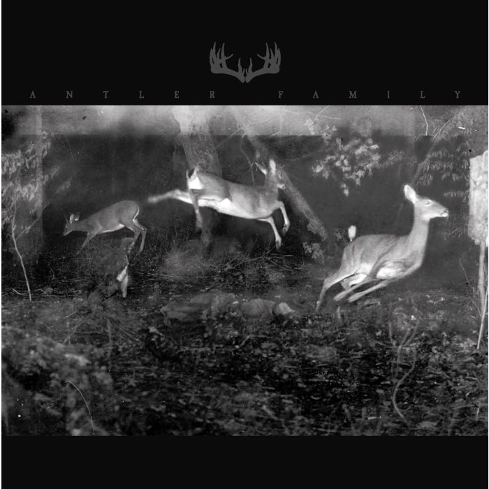 ANTLER FAMILY - ANTLER FAMILY