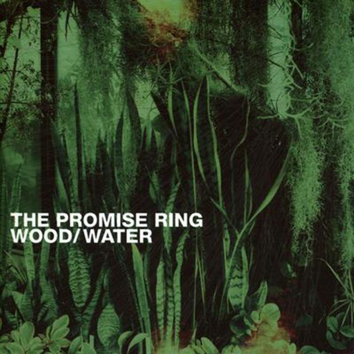 PROMISE RING - WOOD/WATER