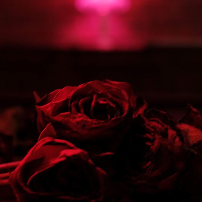 PAPER KITES - ROSES