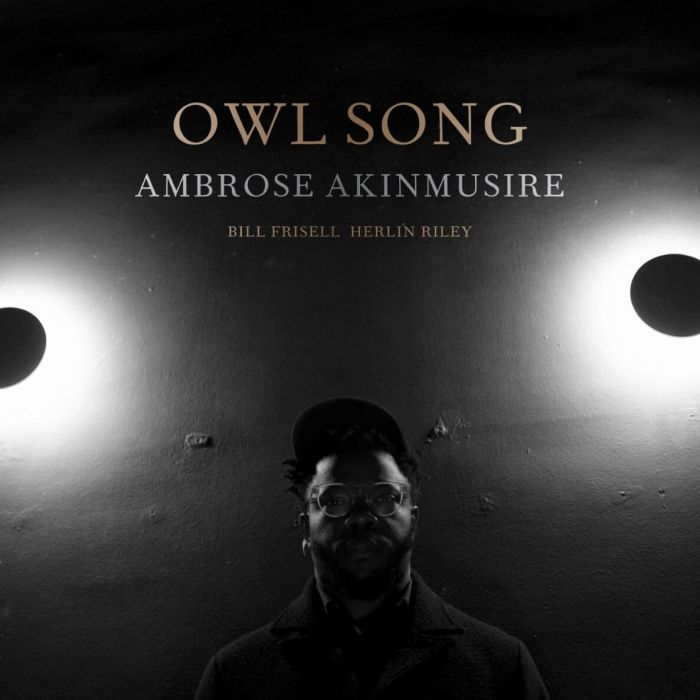 AMBROSE AKINMUSIRE - OWL SONG (140G)
