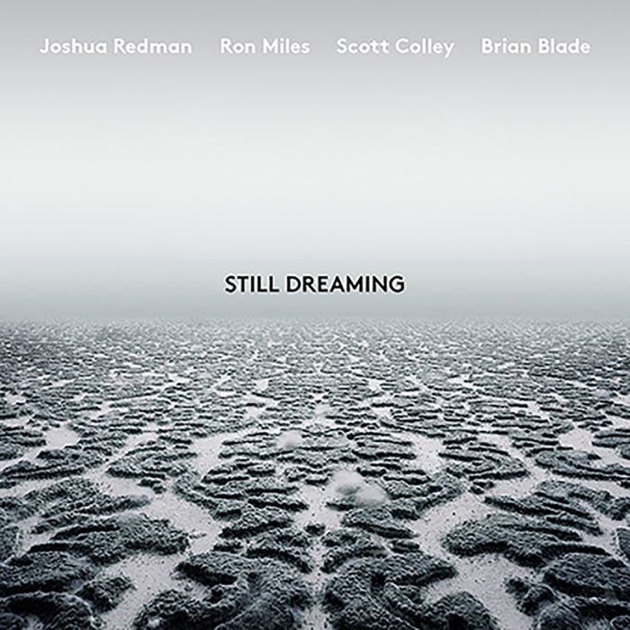 JOSHUA REDMAN - STILL DREAMING