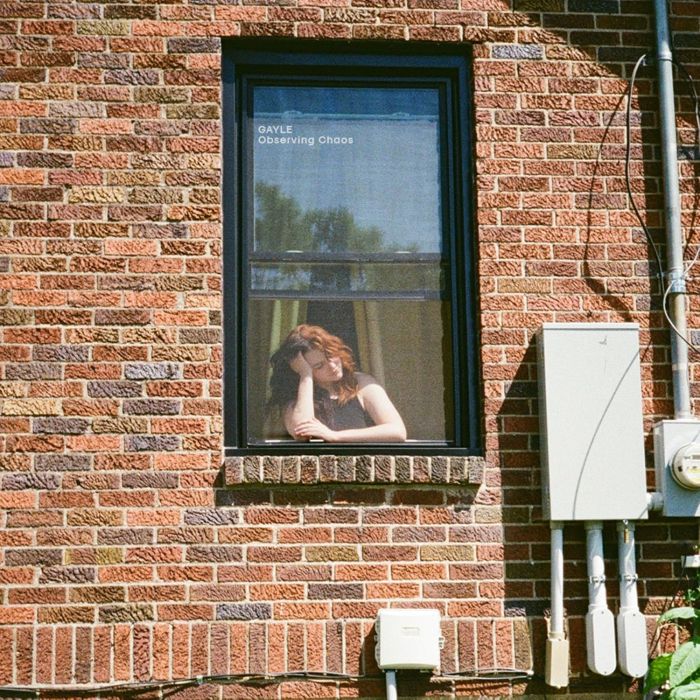 GAYLE - OBSERVING CHAOS (FLOOR-BOARD BROWN VINYL)