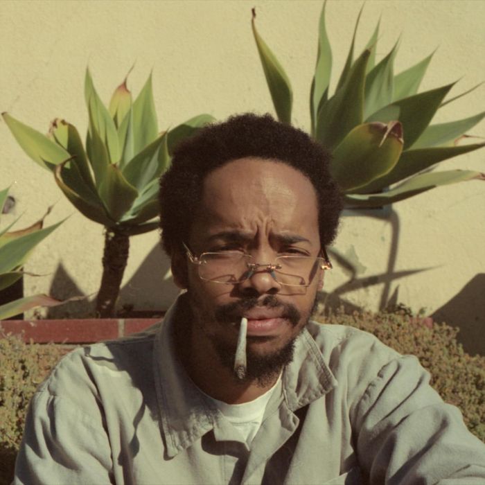 EARL SWEATSHIRT - LIVE LAUGH LOVE