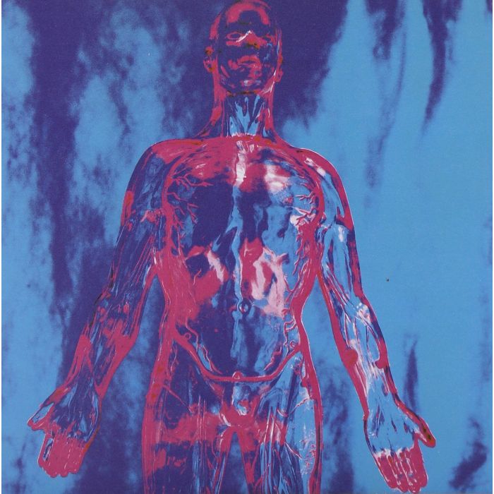 NIRVANA - SLIVER
