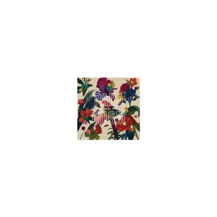 WASHED OUT - PARACOSM