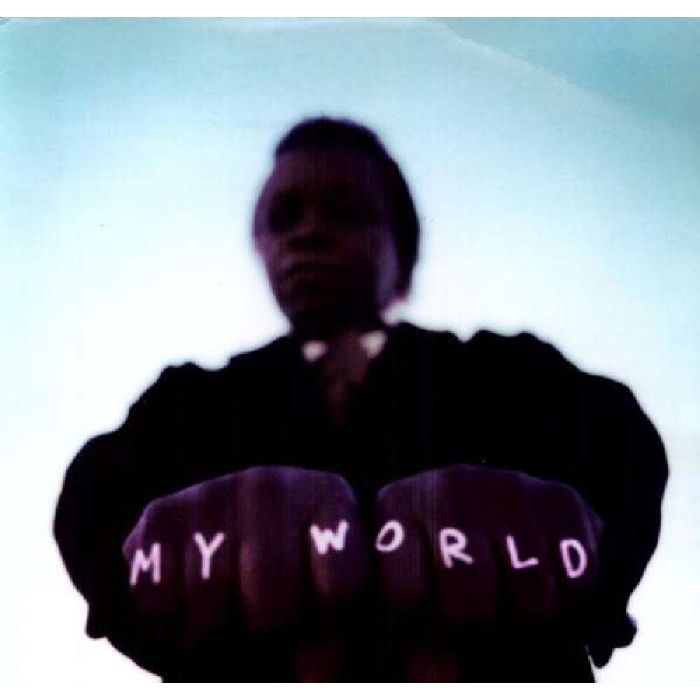 FIELDS,LEE & THE EXPRESSIONS - MY WORLD