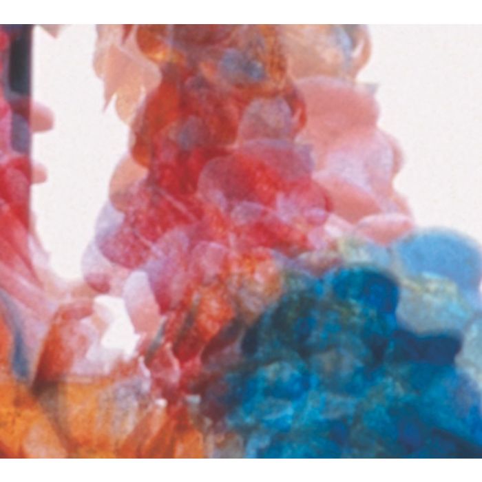 DUNGEN - SKIT I ALLT