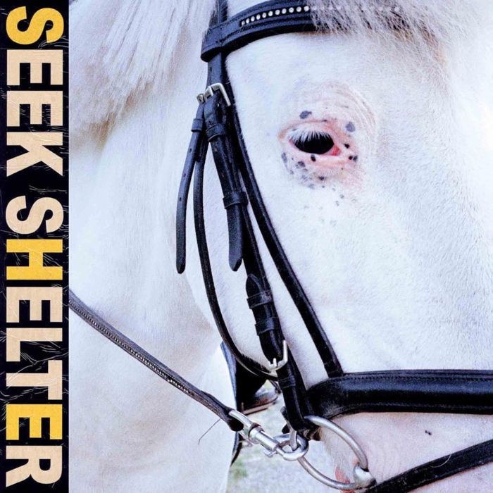 ICEAGE - SEEK SHELTER
