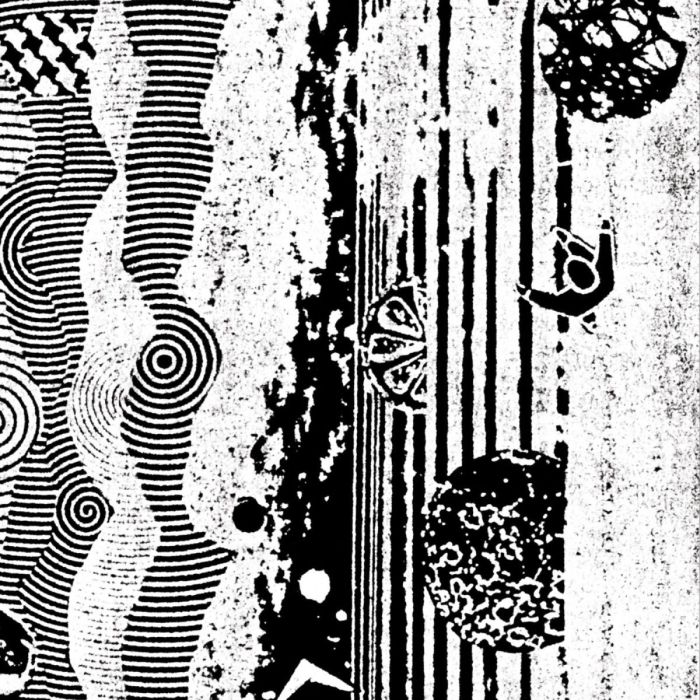 NIGHTCRAWLERS - BIOPHONIC BOOMBOX RECORDINGS