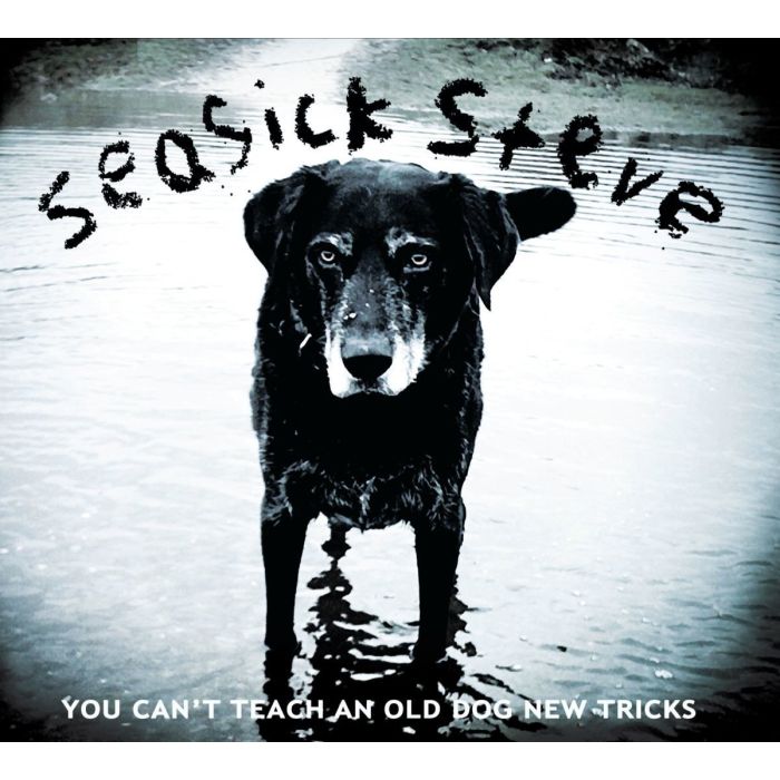 SEASICK STEVE - YOU CAN'T TEACH AN OLD DOG NEW TRICK