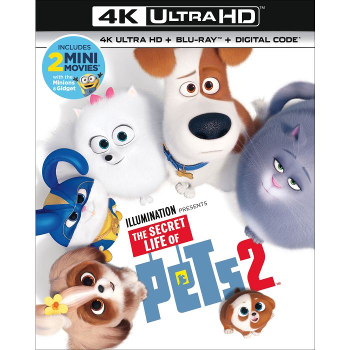 SECRET LIFE OF PETS 2 (4K ULTRA HD/DIGITAL)