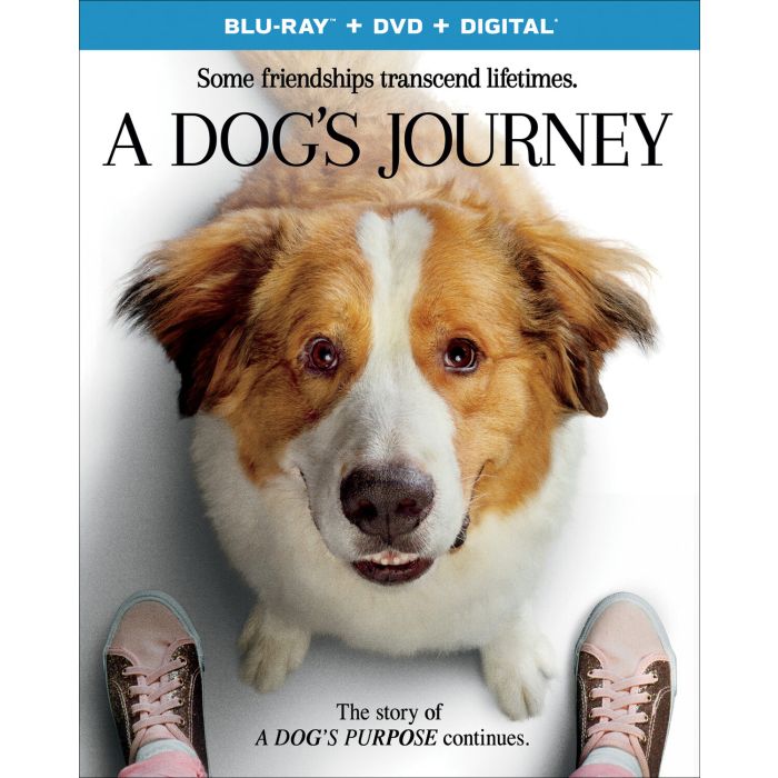 DOG'S JOURNEY (DIGITAL)
