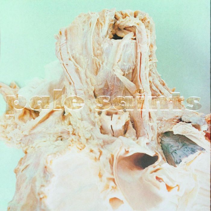 PALE SAINTS - IN RIBBONS (DELUXE EDITION)