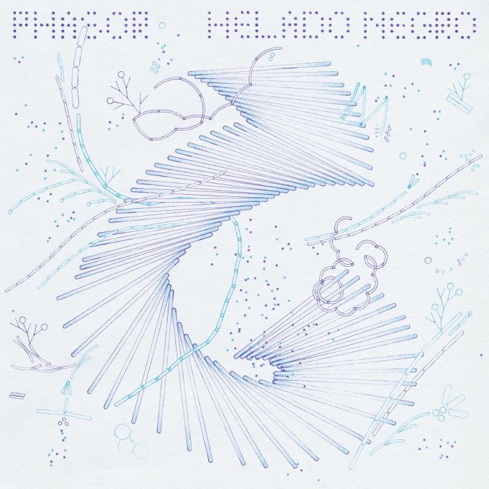 HELADO NEGRO - PHASOR