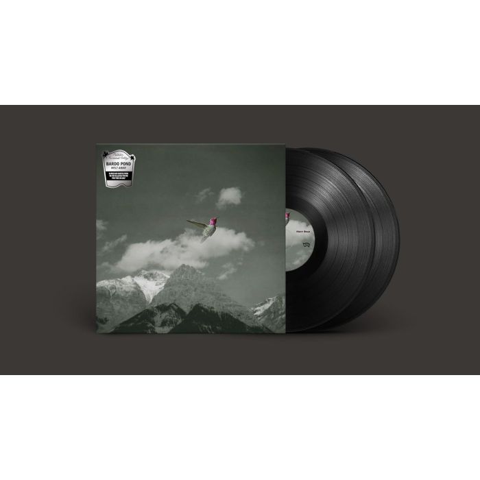 BARDO POND - MELT AWAY (2LP)