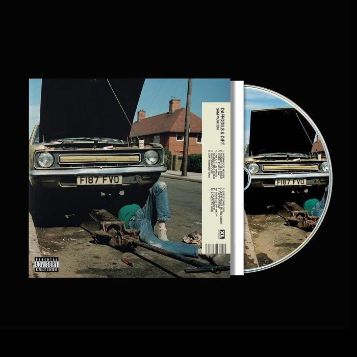 SAM MORTON - DAFFODILS & DIRT