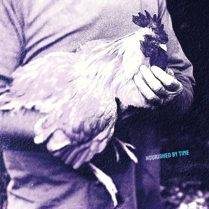 NOURISHED BY TIME - CATCHING CHICKENS EP