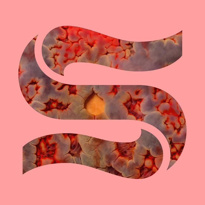 SMITH,KAITLYN AURELIA & JOE GODDARD - NEPTUNES EP