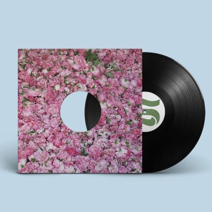 BRAXE + FALCON - STEP BY STEP REMIXES