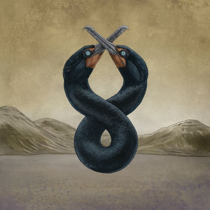 SAN FERMIN - CORMORANT I & II