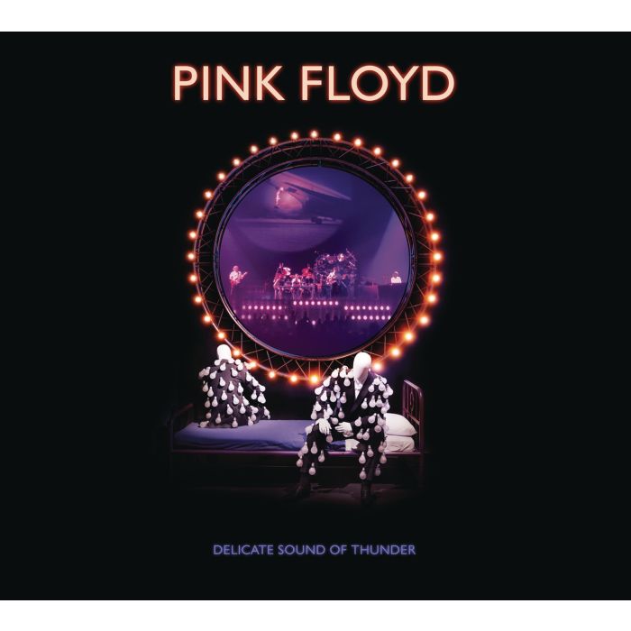 PINK FLOYD - DELICATE SOUND OF THUNDER
