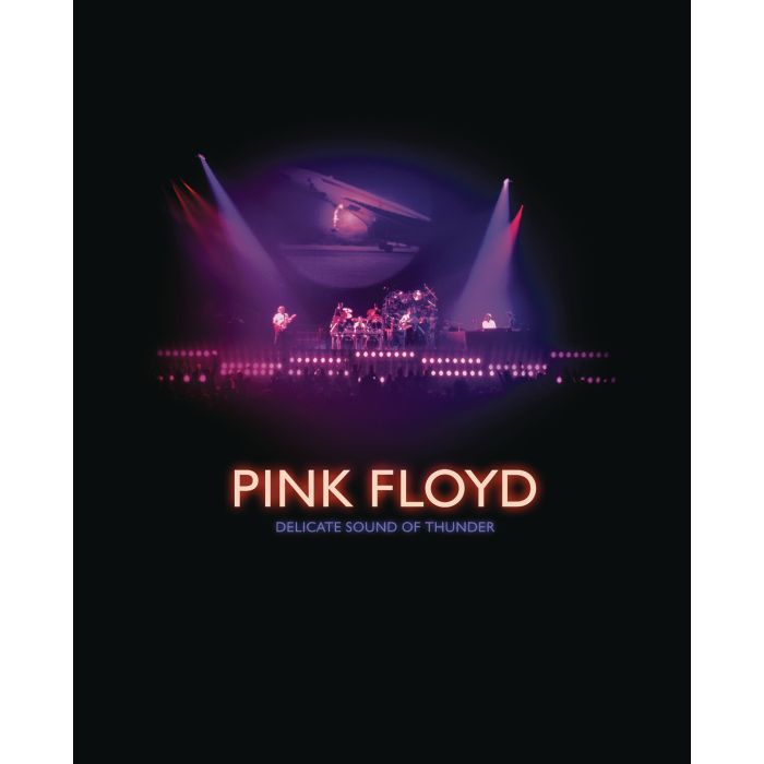 PINK FLOYD - DELICATE SOUND OF THUNDER