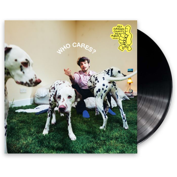 REX ORANGE COUNTY - WHO CARES? (150G)