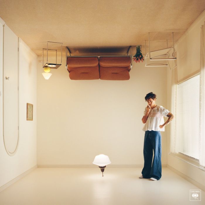 HARRY STYLES - HARRY'S HOUSE (180G)