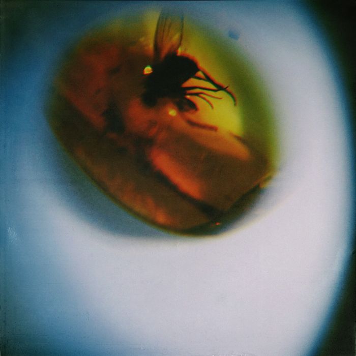 APRIL + VISTA - TRADITIONAL NOISE (TRANSLUCENT FLY GREEN VINYL)