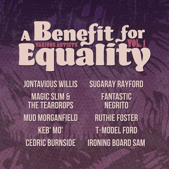 VARIOUS ARTISTS - BENEFIT FOR EQUALITY VOL. 1