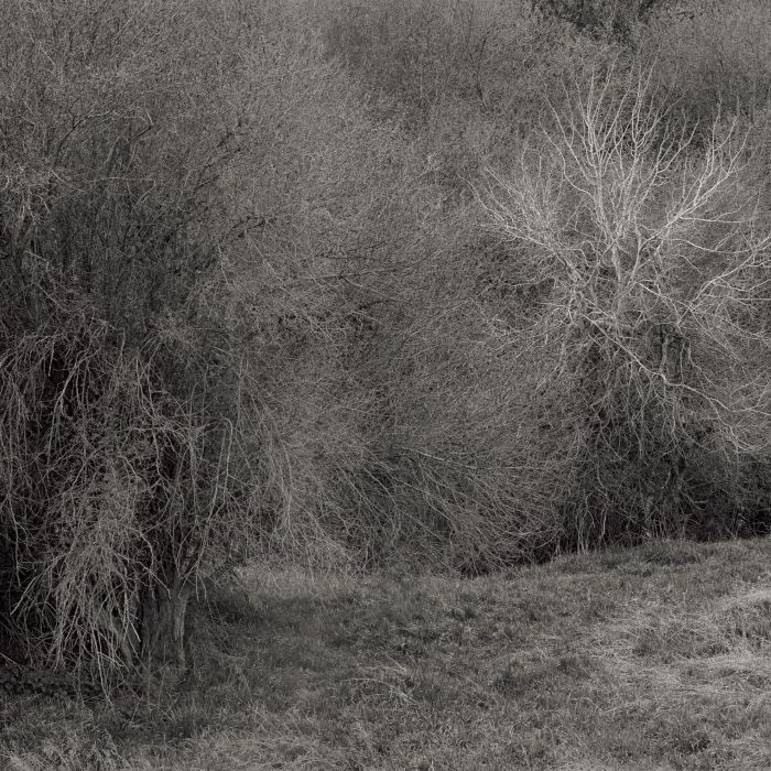 K. LEIMER - ATROPHIES FOR PIANO