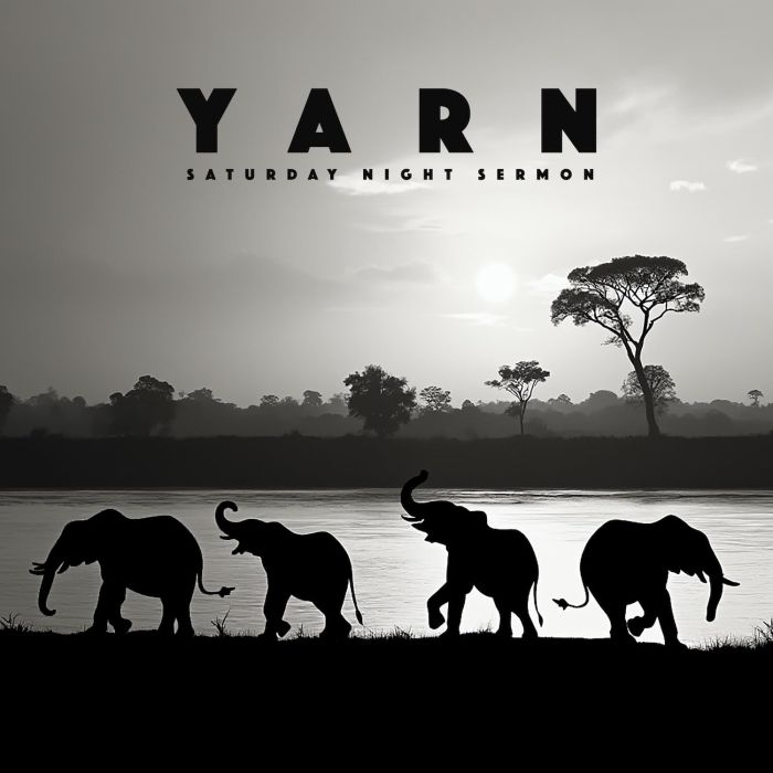 YARN - SATURDAY NIGHT SERMON
