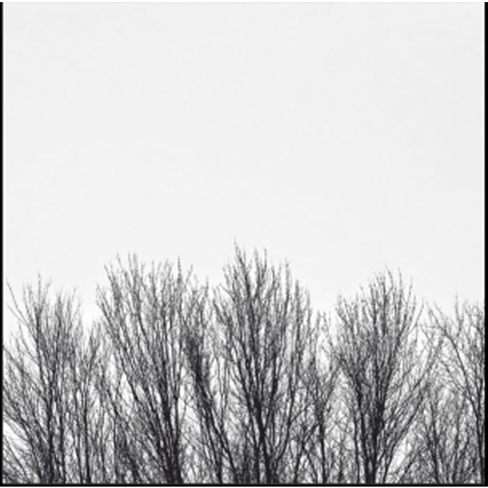 NORTHWOODS IMPROVISERS - WHITE SKY
