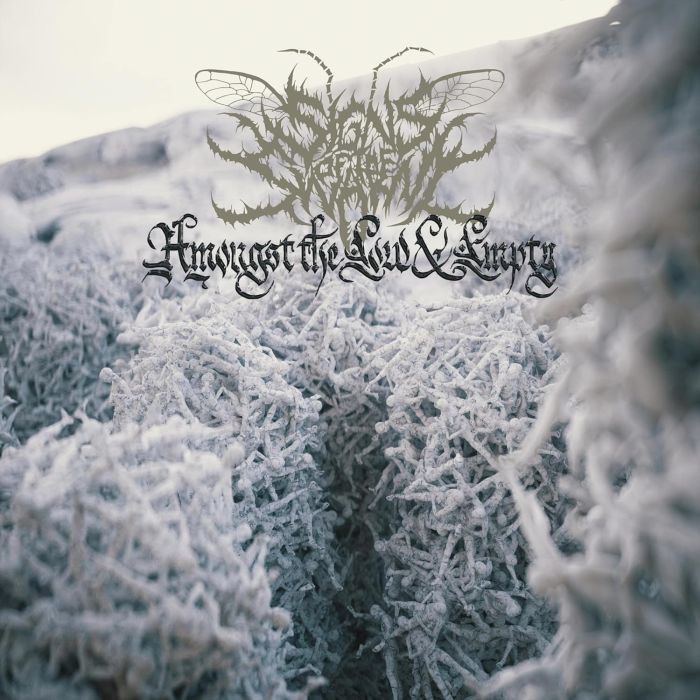 SIGNS OF THE SWARM - AMONGST THE LOW & EMPTY (GATEFOLD AQUA VINYL)