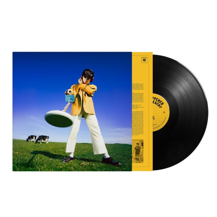DECLAN MCKENNA - WHAT HAPPENED TO THE BEACH?