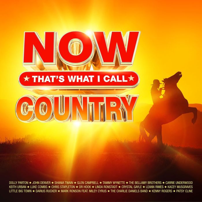 VARIOUS ARTISTS - NOW THATS WHAT I CALL COUNTRY