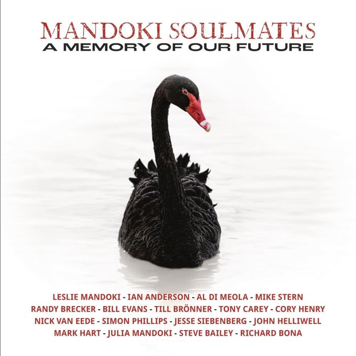 MANDOKI SOULMATES - MEMORY OF OUR FUTURE