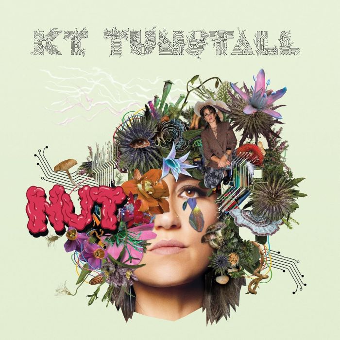 KT TUNSTALL - NUT