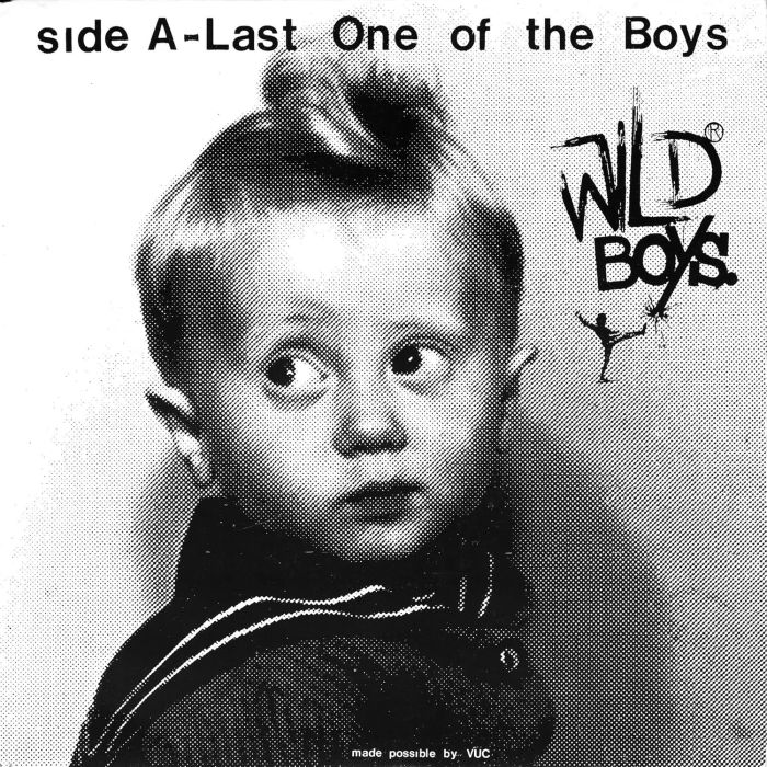 WILD BOYS - LAST ONE OF THE BOYS B/W WE'RE ONLY MONSTERS