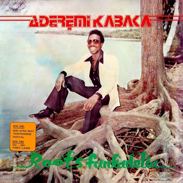 REMI KABAKA - ROOTS FUNKADELIA