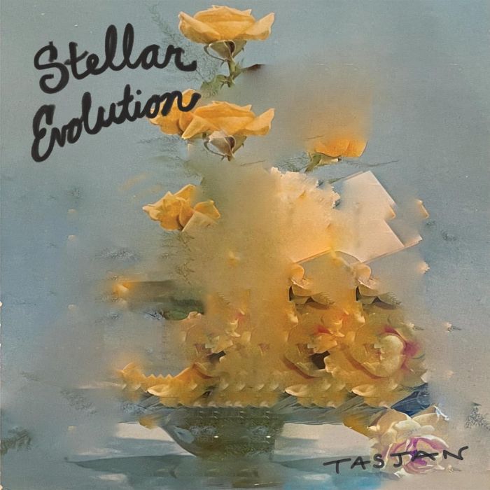 AARON LEE TASJAN - STELLAR EVOLUTION